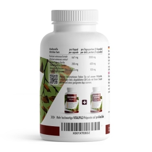 ProFuel Hydne Hérisson champignon médicinal 180 gélules