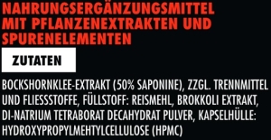 Big Zone Boron+ 90 gélules