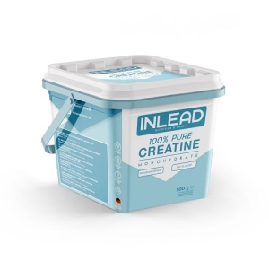 INLEAD Monohydrate de créatine 500 g