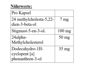 Megabol Testosterol 250 - 30 capsules