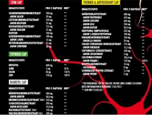 Big Zone Invictus DNP - Signature Max Madsen