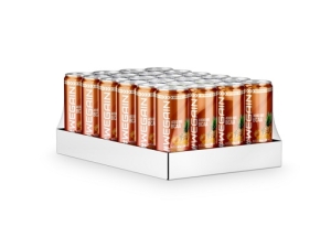 Boisson BCAA WEGAIN - 24x330ml Tropical 