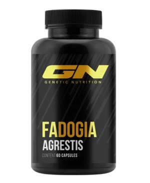 GN Fadogia Agrestis 60 gélules