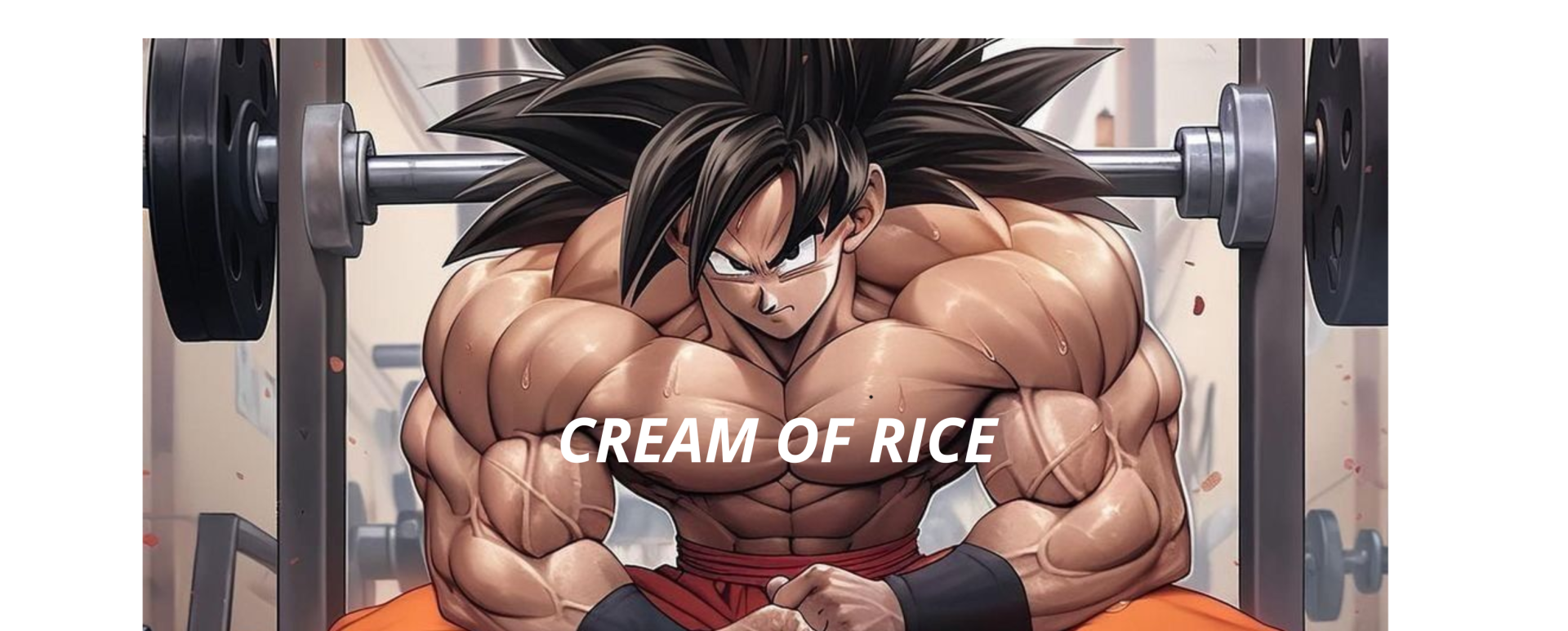 CARBS / CREAM OF RICE